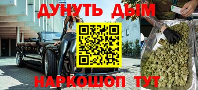 стаф Кингисепп