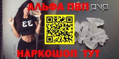 стаф Кингисепп