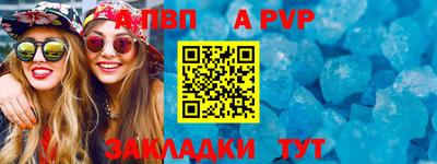 стаф Кингисепп
