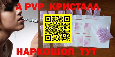 стаф Кингисепп